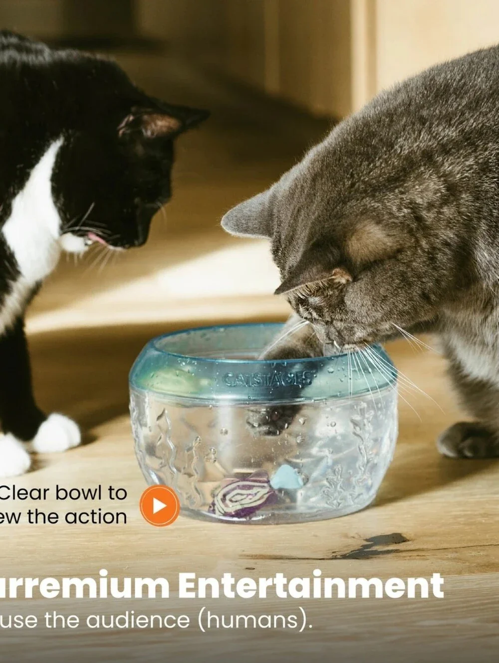 Catstages Meow-smerizing Fish Bowl Interactive Cat Toy-Electronic Swimming Fish
